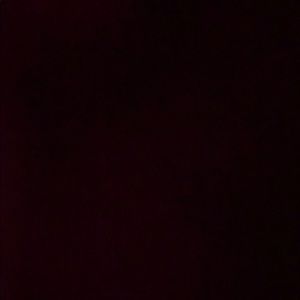 Meet your Posher, Bailey